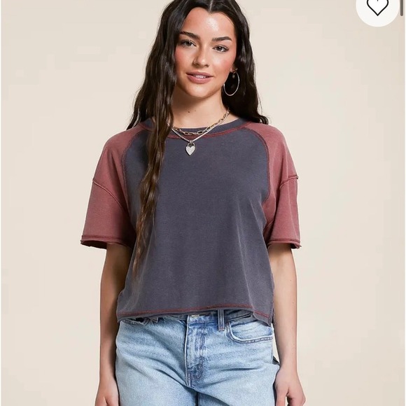 Fitz + Eddi Color Block Cropped T-Shirt – Sable Ebony – Size Large - Picture 1 of 6